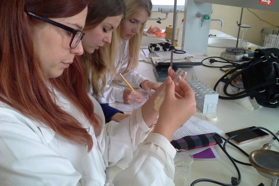 Ilustračný obrázok k článku Takto spája Gymnázium na Kukučínovej ulici v Poprade teóriu s praxou