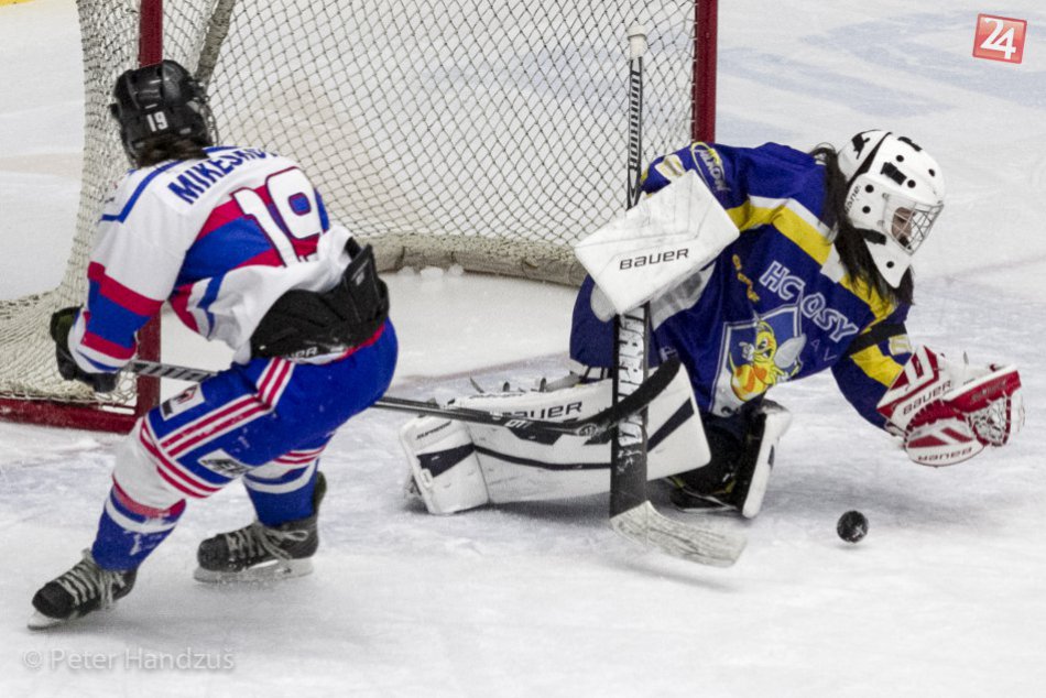 Ilustračný obrázok k článku Popradské líšky na domácom ľade stále bez prehry. V derby zdolali Spišskú Novú Ves