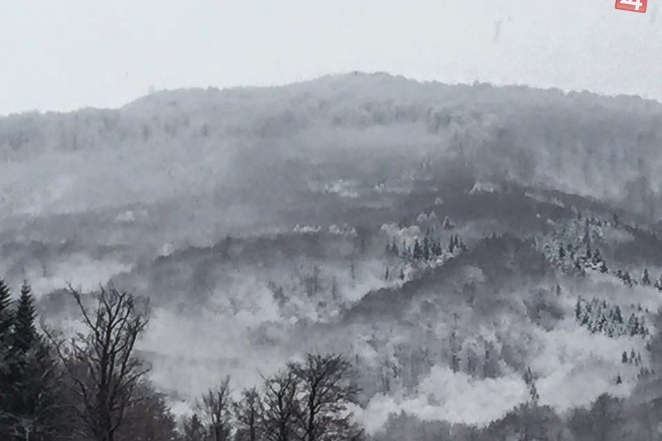 Ilustračný obrázok k článku Keď to správca videl, hneď začal fotiť: Čarovné FOTO z obľúbeného miesta Michalovčanov!