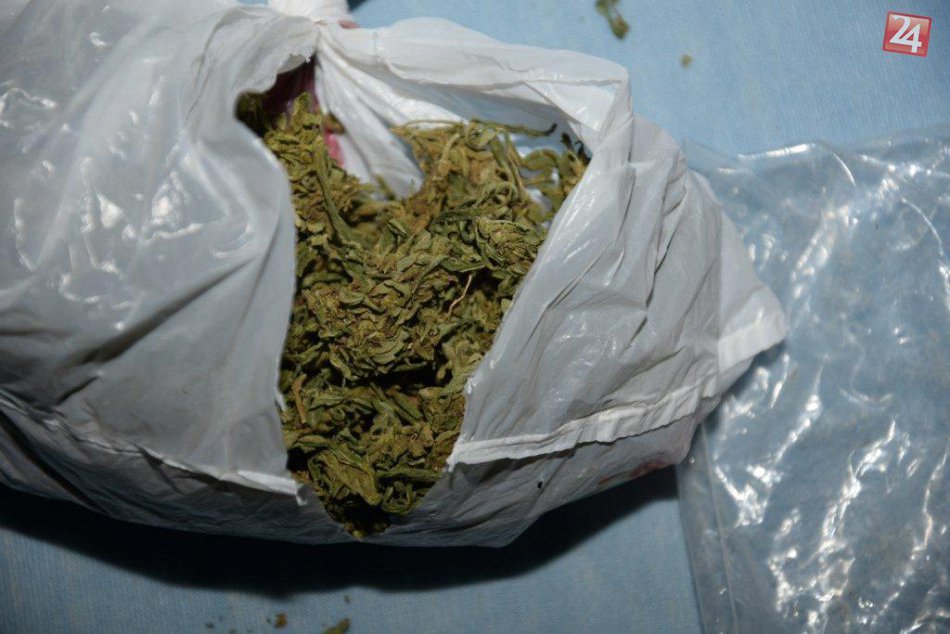 Ilustračný obrázok k článku Policajti už od marca drogám na stope: Domová prehliadka u Tomáša (26) z nášho okresu všetko odhalila! Policajné FOTO