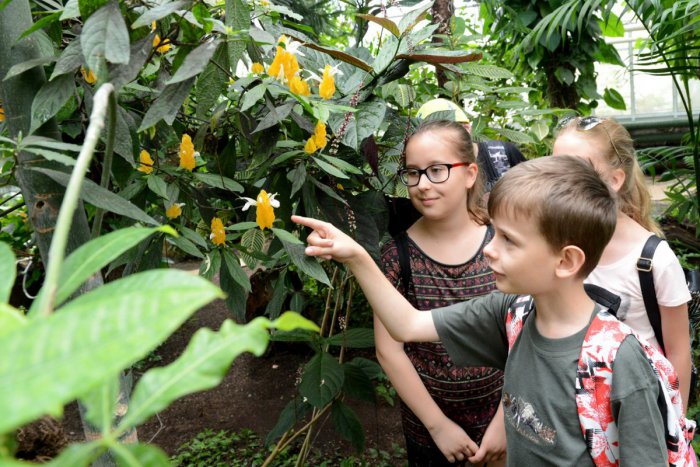 Ilustračný obrázok k článku Zaujímavá novinka v Botanickej záhrade SPU: Vybudovali novú expozícu mäsožravých rastlín