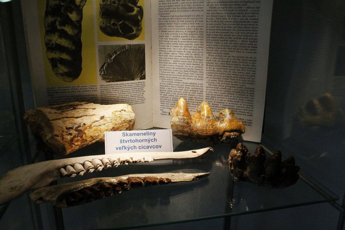 Ilustračný obrázok k článku Dúbravské múzeum má novú expozíciu