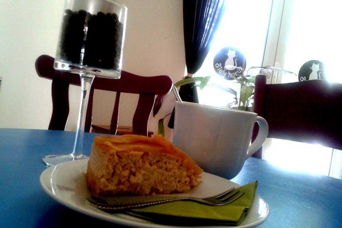 Ilustračný obrázok k článku Starosta príde do Kocúra