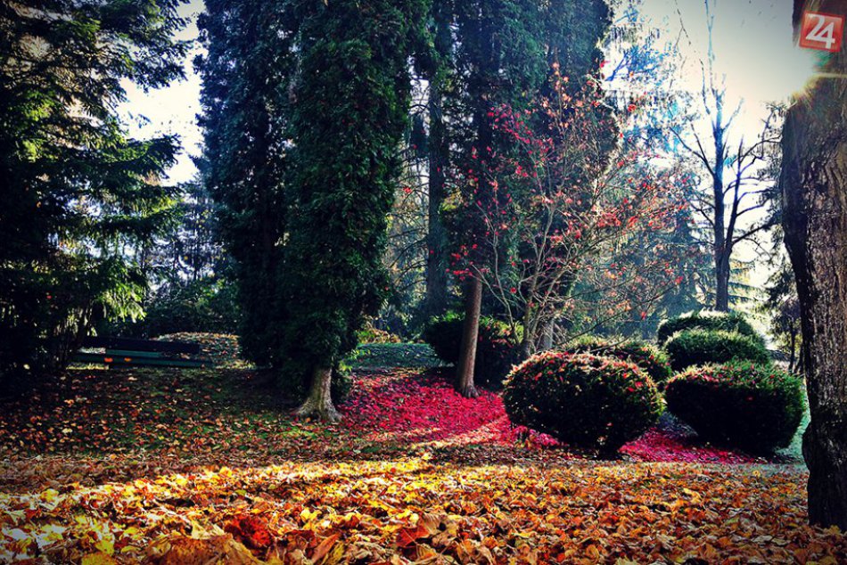 Ilustračný obrázok k článku V bratislavskom lesoparku viseli nad zemou nebezpečné vodiče vysokého napätia