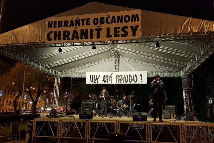 Ilustračný obrázok k článku Bratislavčania ukázali, že im na zeleni záleží. Na koncert pre zachovanie Pečnianskeho lesa prišli desiatky ľudí