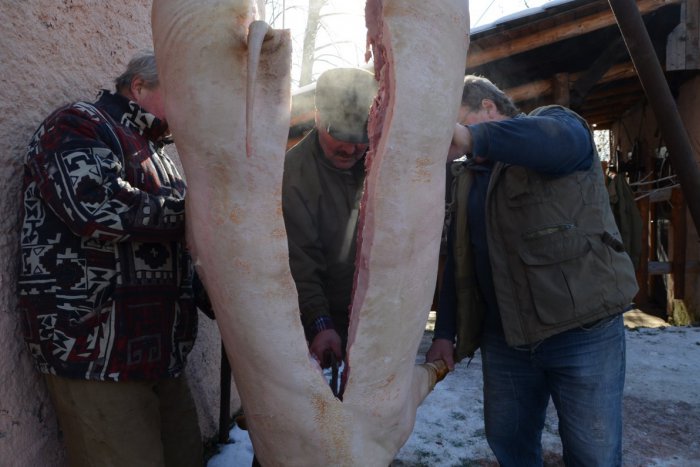 Ilustračný obrázok k článku TIPY na VÍKEND: Rozprávkoland, Vlkolínska zabíjačka, Z maľovanej truhlice a ďalšie