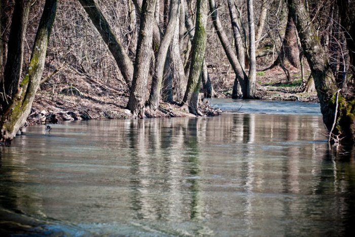 Ilustračný obrázok k článku Mrazivý objav v koryte potoka: Policajti ihneď zabezpečili okolie, v akcii pyrotechnik!