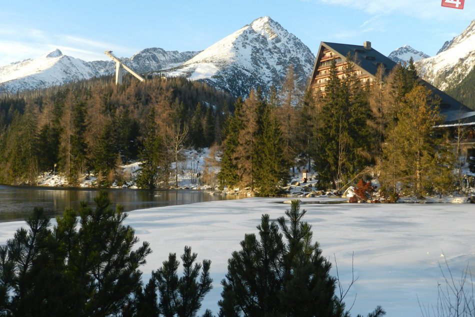 Ilustračný obrázok k článku Zaujímavosť z Tatier: Bohatá úroda kvetov na smrekoch a... vták, ktorý je ozajstným majstrom!