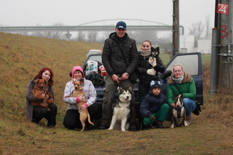 Ilustračný obrázok k článku Predvianočné stretnutie chlpáčov sa stretlo s veľkým úspechom: Aké sú ďalšie plány? FOTO