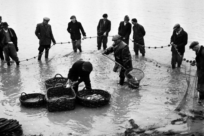 Ilustračný obrázok k článku OBRAZOM: Ako vyzerali Vianoce a prípravy na sviatky v minulom storočí v Bratislave? + VIDEO