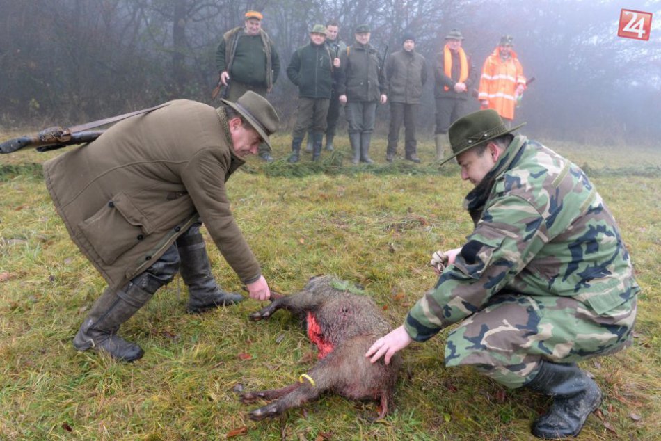 Ilustračný obrázok k článku Ďalšia poľovačka pri Rožňave: V tento čas by ste do lesa nemali chodiť