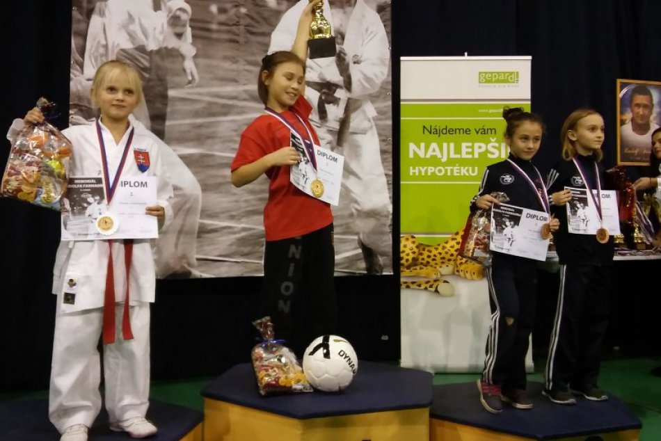 Ilustračný obrázok k článku Posledná súťaž shihanistov v tomto roku: Trikrát finálová účasť a striebro pre Poprad