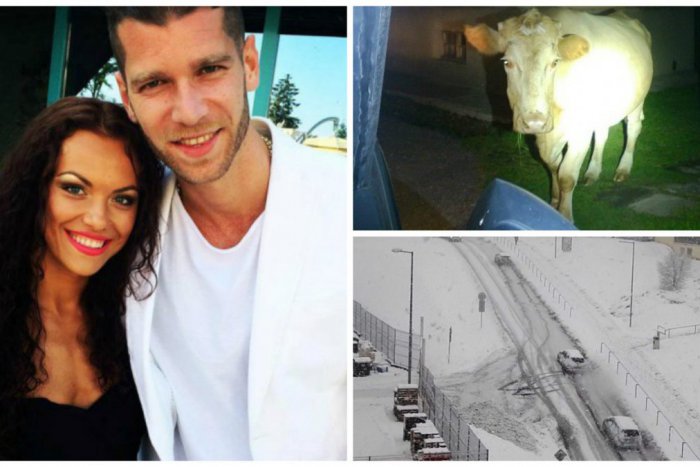 Ilustračný obrázok k článku Témy, ktoré Žiarčanov zaujali naozaj nadpriemerne: 10 článkov, ktoré ste tento rok najviac klikali