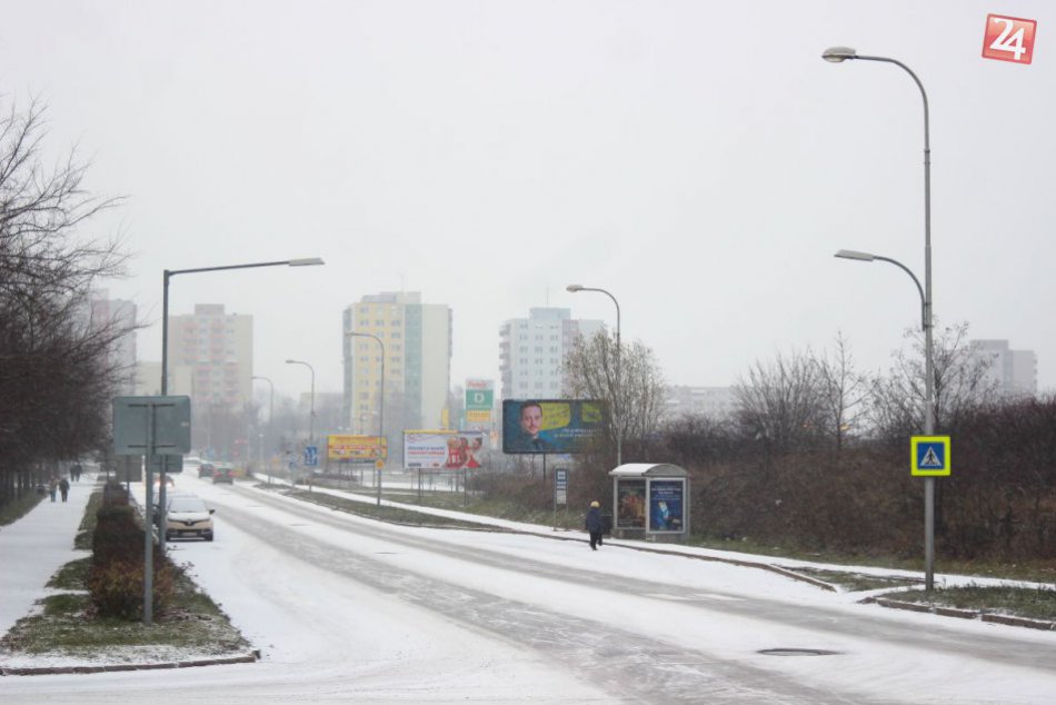 Ilustračný obrázok k článku Krutá smrť domáceho miláčika na Klokočine: Pes uhynul pádom zo 6. poschodia