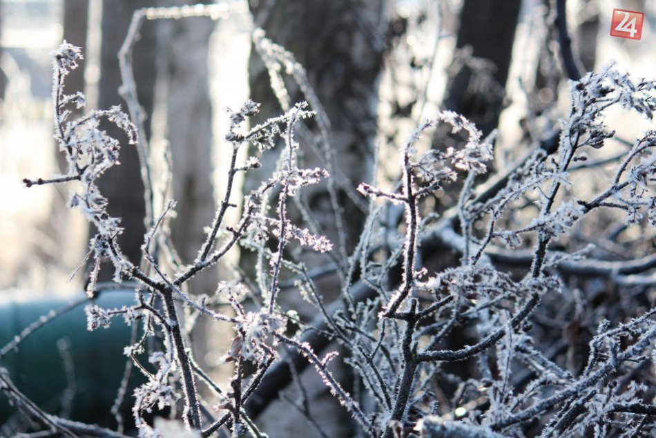 Ilustračný obrázok k článku Na Slovensku v noci riadne prituhne: Výstrahy, záveje a mráz až do -24 stupňov Celzia