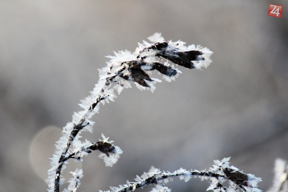 Ilustračný obrázok k článku August a takáto výstraha? Teploty v Žiarskom okrese klesnú pod nulu!