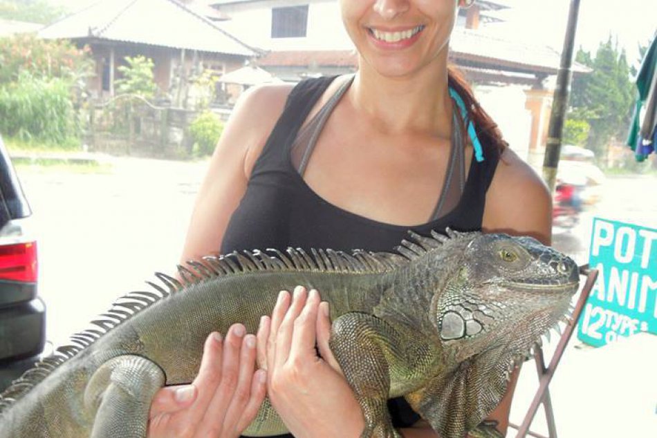 Ilustračný obrázok k článku Kuriózne zásahy mestských z Prievidze: Leguán sa našiel po dvoch dňoch, to však nie je všetko