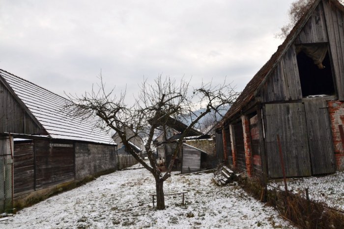 Ilustračný obrázok k článku Kradlo sa v strede Bieleho Potoka: Šesť včelých úľov stojí už na inom mieste!