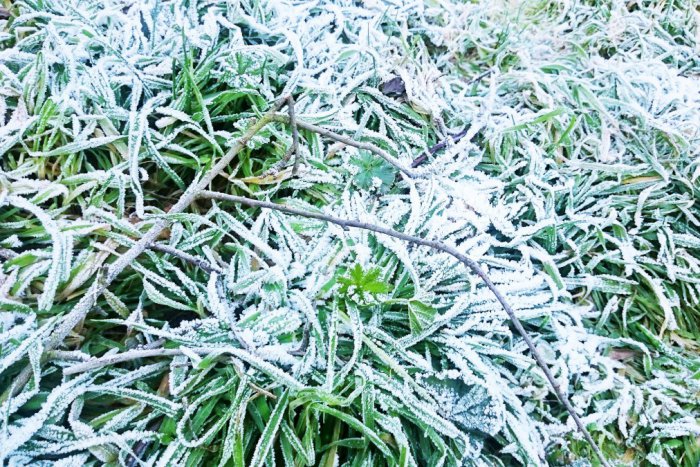 Ilustračný obrázok k článku Dych vyrážajúce info pre Trenčín: Teplota má padnúť pod nulu!