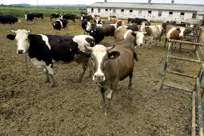 Ilustračný obrázok k článku HLASUJTE: Prekáža vám zápach, ktorý sa v posledných dňoch šíri Breznom?