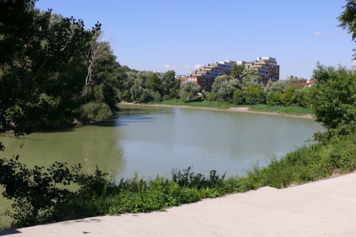 Ilustračný obrázok k článku Pre kauzu s Pečnianskym lesom sa o štátne lesy chce radšej starať mesto