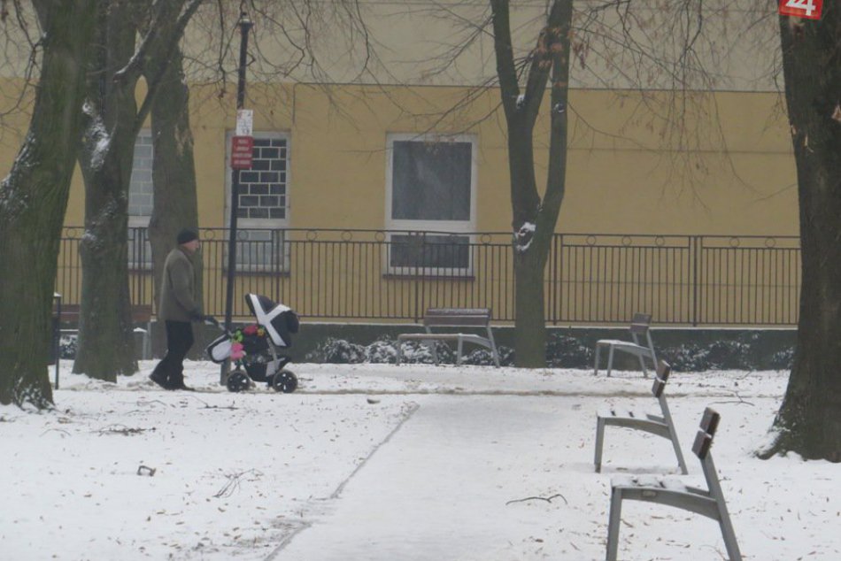 Ilustračný obrázok k článku Mestský park radikálne zmenil svoju tvár: Zmizli aj nevítaní nájomníci, FOTO