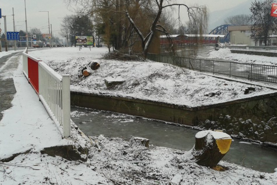 Ilustračný obrázok k článku Všimli ste si to aj vy? Pri Hrone došlo k výrubu... FOTKY priamo z miesta