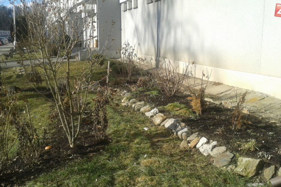 Ilustračný obrázok k článku Zazreli ste tú nádheru tiež? Takmer v centre Brezna... Niečo také by ste vo februári určite nečakali