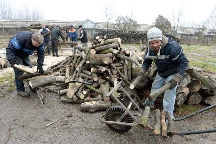 Ilustračný obrázok k článku Pomoc bezdomovcom: V Bernátovciach sa ich snažia začleniť do spoločnosti prácou
