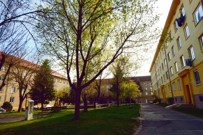 Ilustračný obrázok k článku S novým týždňom nové možnosti: Akcie v Žiari a okolí, ktoré budú stáť za to