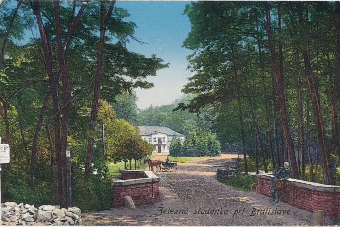 Ilustračný obrázok k článku Historické zábery: Kúpele na Železnej studničke a palmy v Sade Janka Kráľa