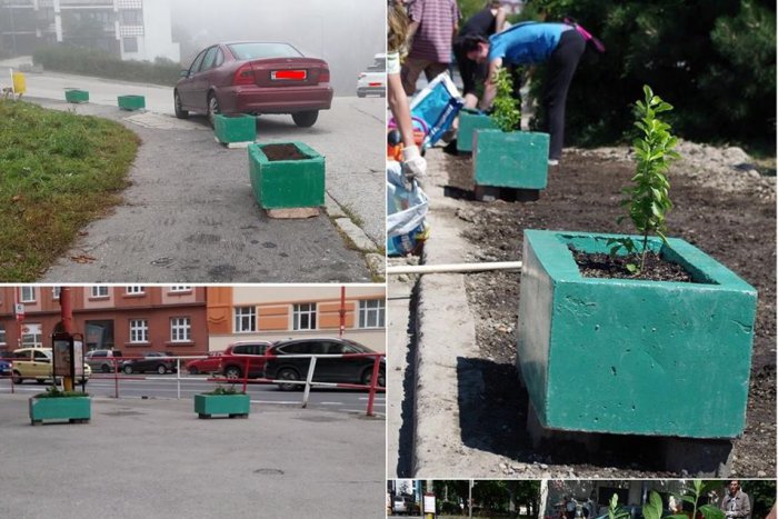 Ilustračný obrázok k článku Ako by mohli vyzerať kvetináče v uliciach Bratislavy? Zelená hliadka vyhlásila "tender" na estetický kvetináč