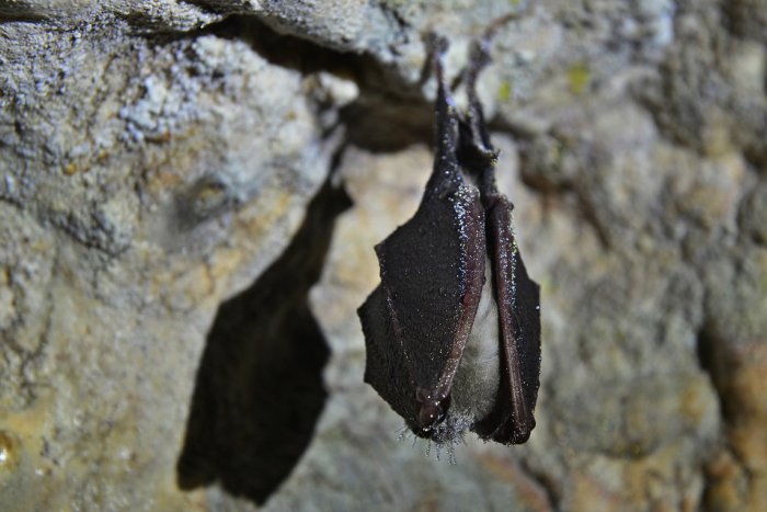 Ilustračný obrázok k článku O všetkých vie len málokto: 6 jaskýň, ktoré nájdete v blízkom okolí Humenného