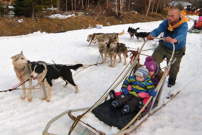 Ilustračný obrázok k článku Tak toto v Hlohovci ešte nebolo: Pravý psí záprah, na ktorom sa bude dať zviezť!