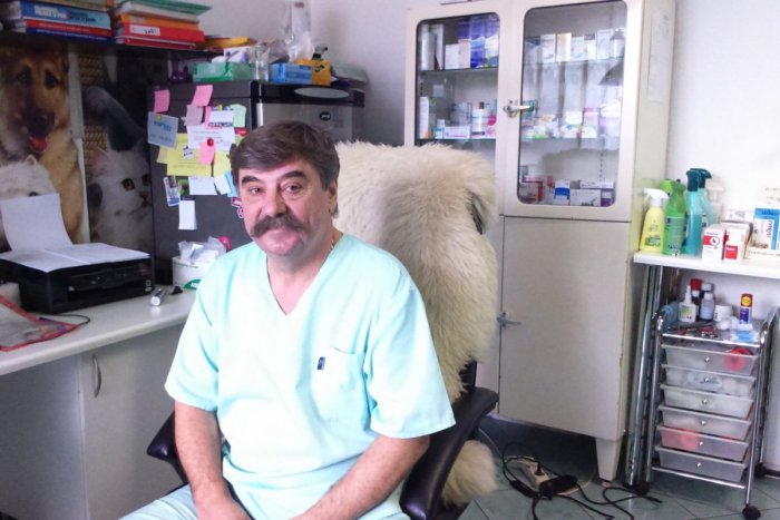 Ilustračný obrázok k článku Lekár, ktorého v Spišskej pozná množstvo milovníkov zvierat: EXKLUZÍVNY rozhovor s veterinárom Korimom