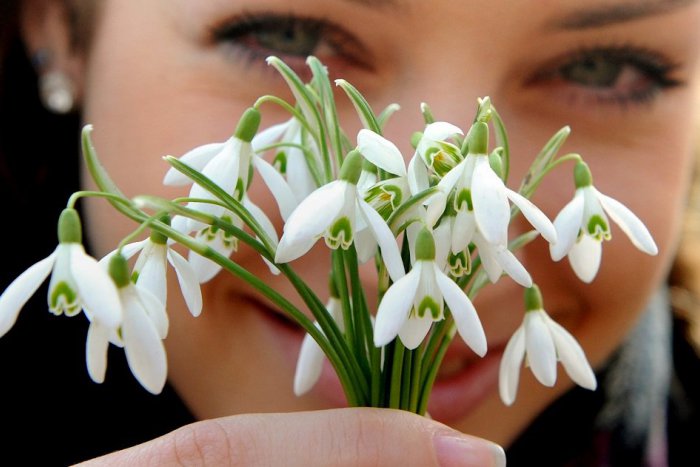 Ilustračný obrázok k článku Februárové teploty lámali v Bratislave historické rekordy