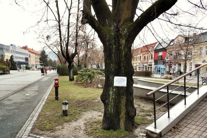 Ilustračný obrázok k článku Mesto reaguje na neobvyklý úkaz na humenskom námestí: Vyjadrujeme veľkú ľútosť nad takýmto činom