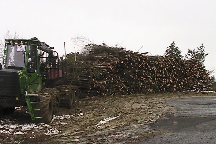 Ilustračný obrázok k článku Do mikulášskej radnice sa pustilo občianske združenie: Mesto výrub takto obhajuje