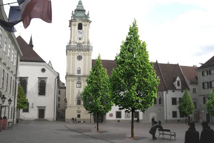 Ilustračný obrázok k článku Centrálne bratislavské námestia sa zazelenajú