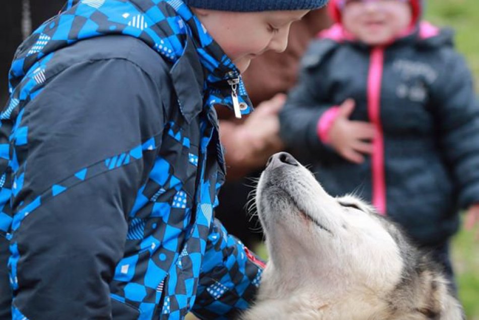Ilustračný obrázok k článku Zámockú záhradu ovládol detský smiech a brechot: Atmosféra prázdnin v záprahu zachytená na FOTKÁCH