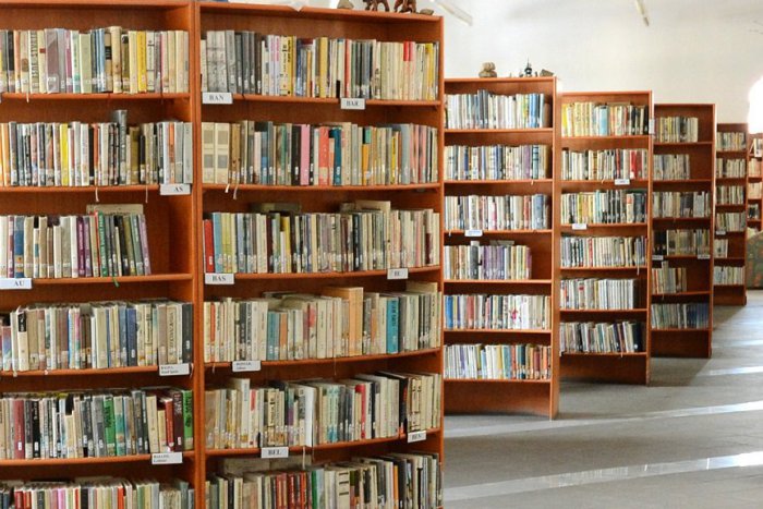 Ilustračný obrázok k článku Naučte sa o podnikaní čo najviac