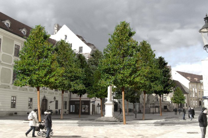 Ilustračný obrázok k článku Prípravy na zelenšiu Bratislavu: Čo skrýva Františkánske námestie odhalí archeologický výskum