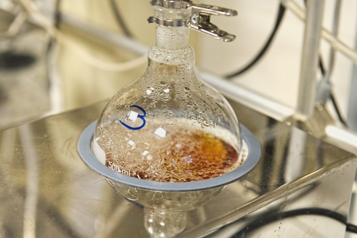 Ilustračný obrázok k článku Prvé prípady nákazy hlásili Bulharsko i Moldavsko