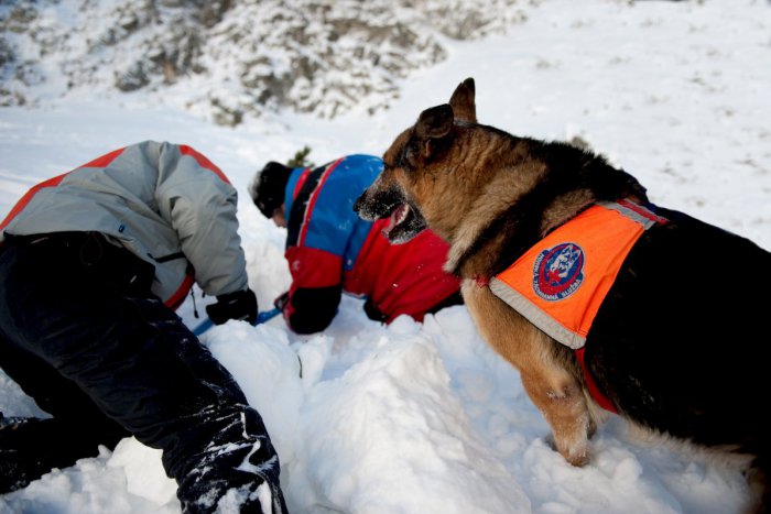 Ilustračný obrázok k článku Dvaja snoubordisti v nezávideniahodnej situácii: Náročný zásah záchranárov!