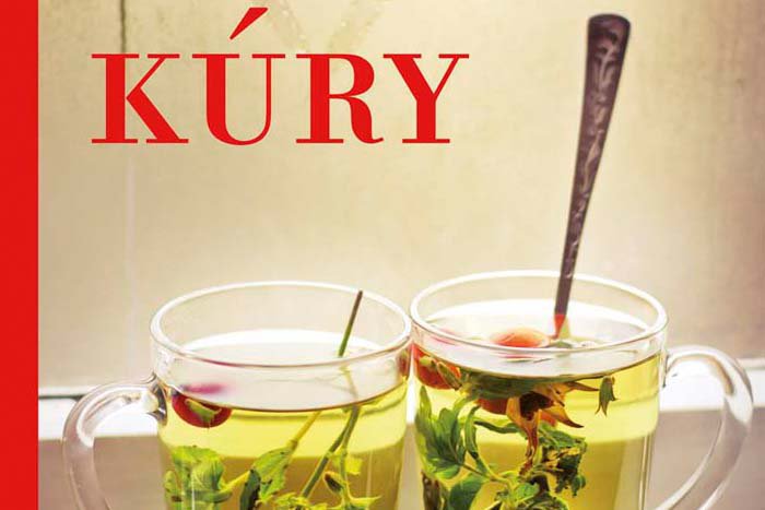 Ilustračný obrázok k článku Tip na knihu: Škodlivé látky všade okolo nás. Ako sa ich účinne zbaviť?