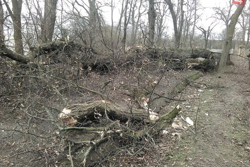 Ilustračný obrázok k článku Vietor robí šarapatu aj v Žiarskom okrese: Dve dediny hlásia problémy s elektrinou