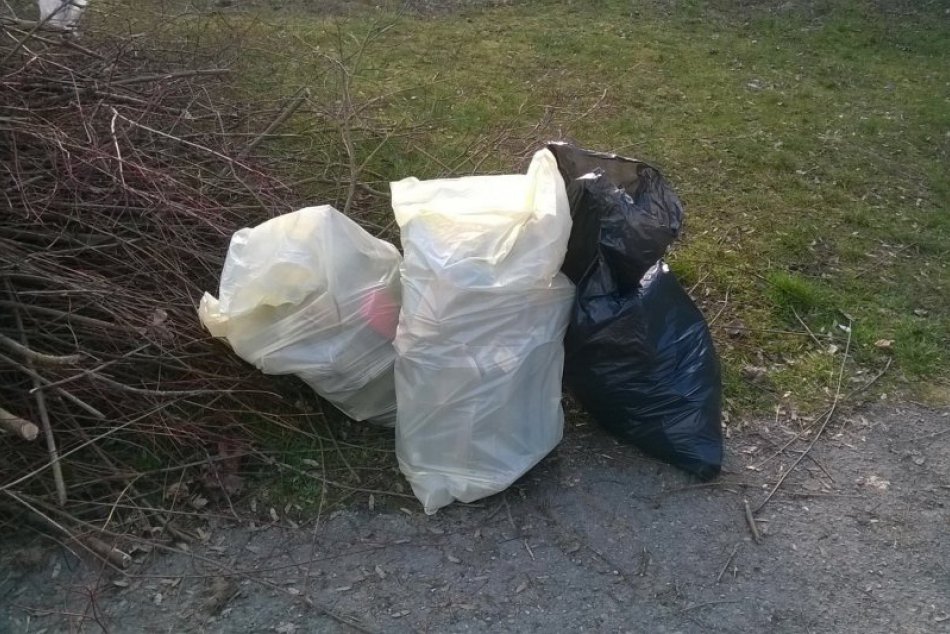 Ilustračný obrázok k článku TIPY na VÍKEND: Voľné dni sú predo dvermi a vyzerá to tak, že sa chystá veľké upratovanie