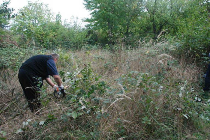 Ilustračný obrázok k článku Komunitná záhrada po zime ožíva