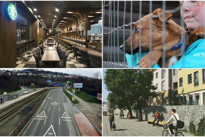 Ilustračný obrázok k článku Top 5 tém týždňa: Pozrite si prehľad správ, ktoré zaujali najviac