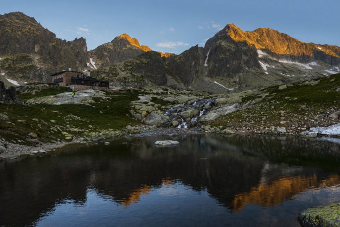 Ilustračný obrázok k článku V Tatrách našli vzácny druh rastliny: Endemit, aký v našich veľhorách nezaznamenali desiatky rokov!